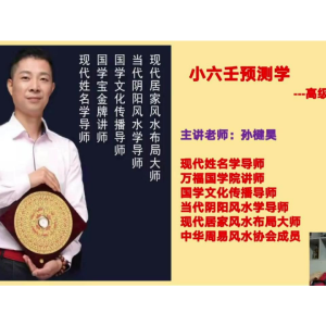 孙楗昊《小六壬预测学》 高级班