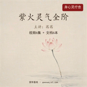 茜茜紫火灵气全阶6集视频+6本文档