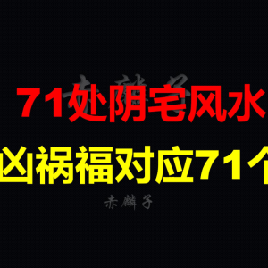 赤麟子 《71处阴宅风水吉凶祸福对应71个灾》170页