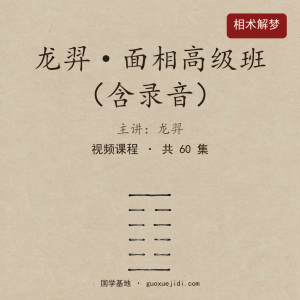 龙羿面相高级班+录音