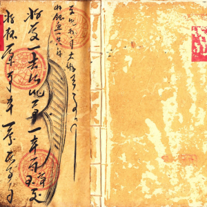 神霄雷法秘书-22册