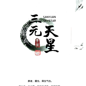 《三元天星》466页
