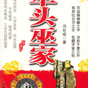 冯化成-梨头巫家384页