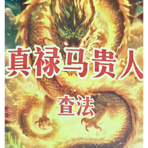 真禄马贵人查法-催财官贵极速