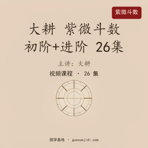 大耕 紫微斗数 初阶+进阶 26集视频课