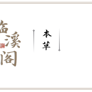 临溪阁五运六气
