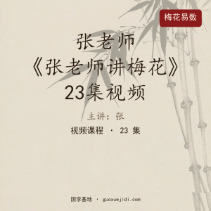 张老师《张老师讲梅花》23集视频