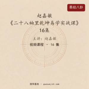 赵嘉敏《二十八袖里乾坤易学实战课》16集