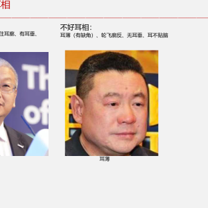 面相学细微对比图示PDF