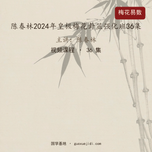 陈春林2024年皇极梅花卦筮强化班36集