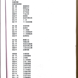 刘小奇《鬼谷子掐指占卜术 掌上乾坤预测神断》-93页