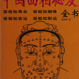 中国面相秘笈 邵伟华著-374页