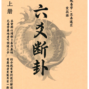 龙斌易学 实战六爻断卦 上下两册