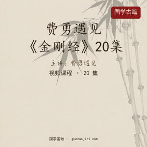 费勇遇见《金刚经》20集