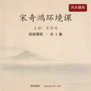 宋奇鸿环境课