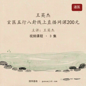 王英杰 玄医五行八卦线上直播网课200元