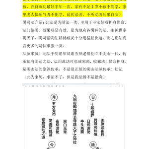 法术 《阴司法》89页【原版】-89页