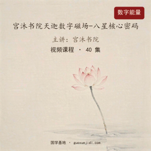 宫沐书院天迦数字磁场-八星核心密码-【40节】