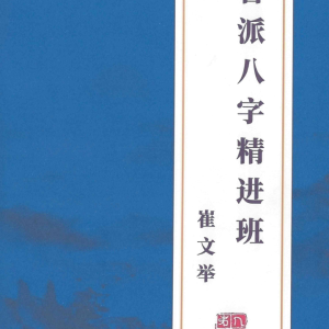 崔文举盲派精进班